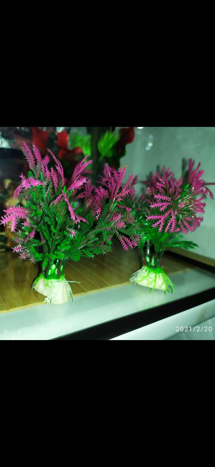 Фотография покупателя товара Набор растений искусственных для аквариума (2 шт), 10 см - Фото 6