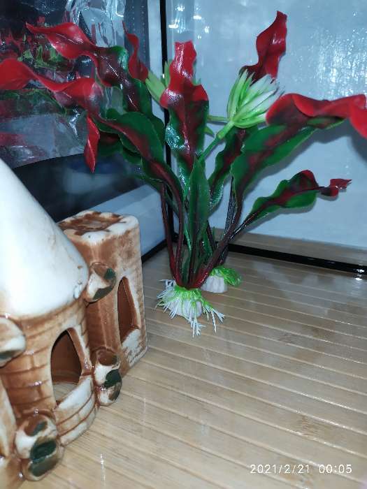Фотография покупателя товара Набор растений искусственных для аквариума (2 шт), 20 см - Фото 3