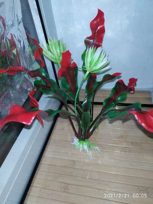 Фотография покупателя товара Набор растений искусственных для аквариума, 20 см, 2 шт. - Фото 4