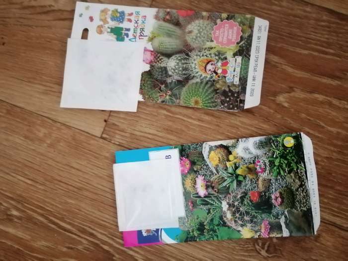 Фотография покупателя товара Семена цветов Кактус "Забава смесь" 0,05 г - Фото 6