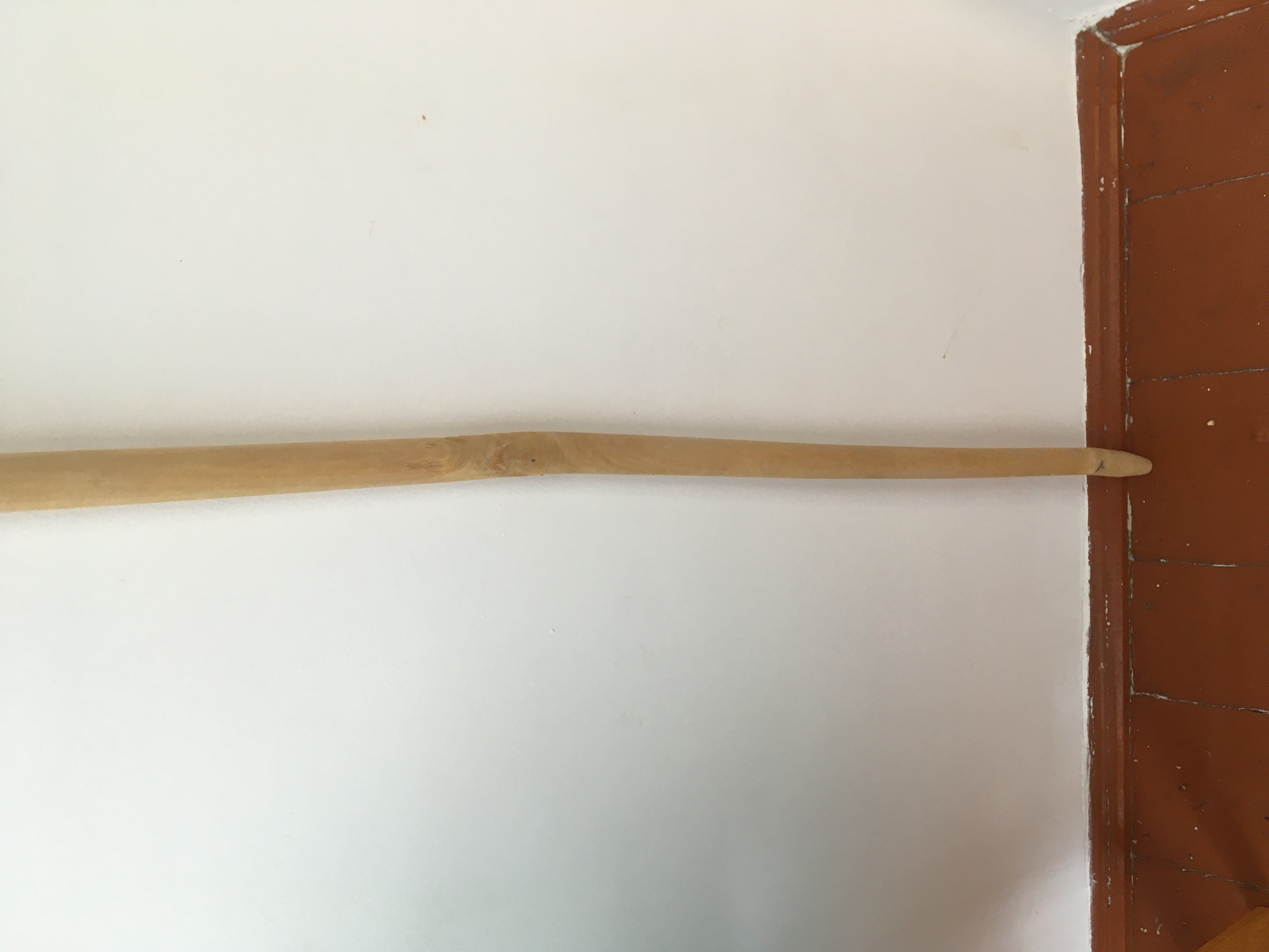 Фотография покупателя товара Черенок деревянный, d = 30 мм, длина 120 см, первый сорт, с конусом
