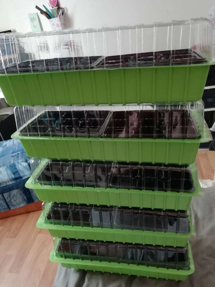 Фотография покупателя товара Мини-парник для рассады, 39.5 × 17 × 13 см, без вставок, тёмно-зелёный, Greengo