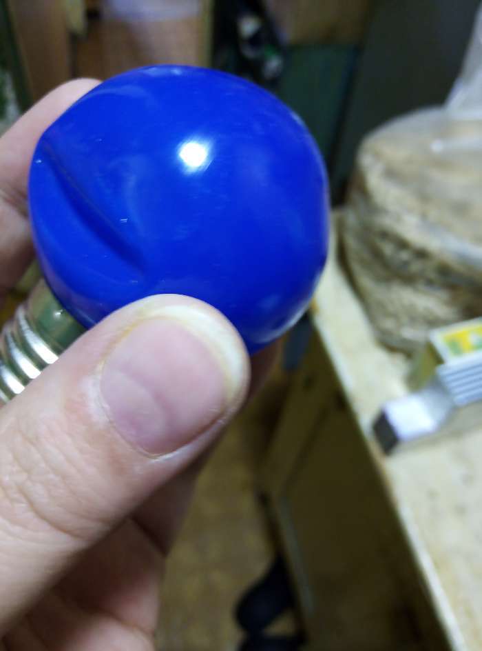 Фотография покупателя товара Лампа светодиодная декоративная Luazon Lighting, G45, 5 SMD2835, для белт-лайта, синий - Фото 3