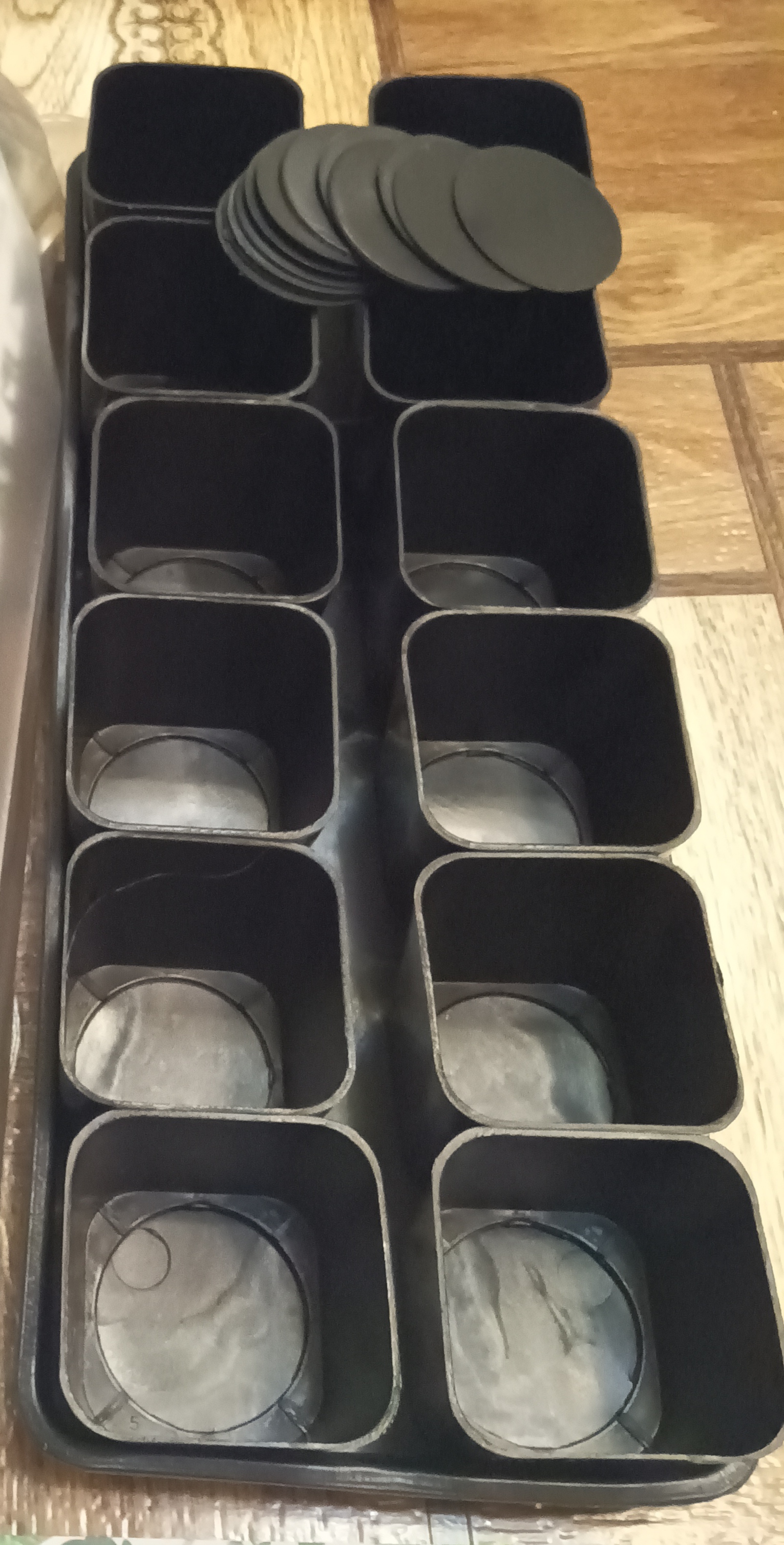 Фотография покупателя товара Набор для рассады: стаканы по 700 мл (10 шт.), поддон 44 × 18 см, чёрный, Greengo - Фото 4