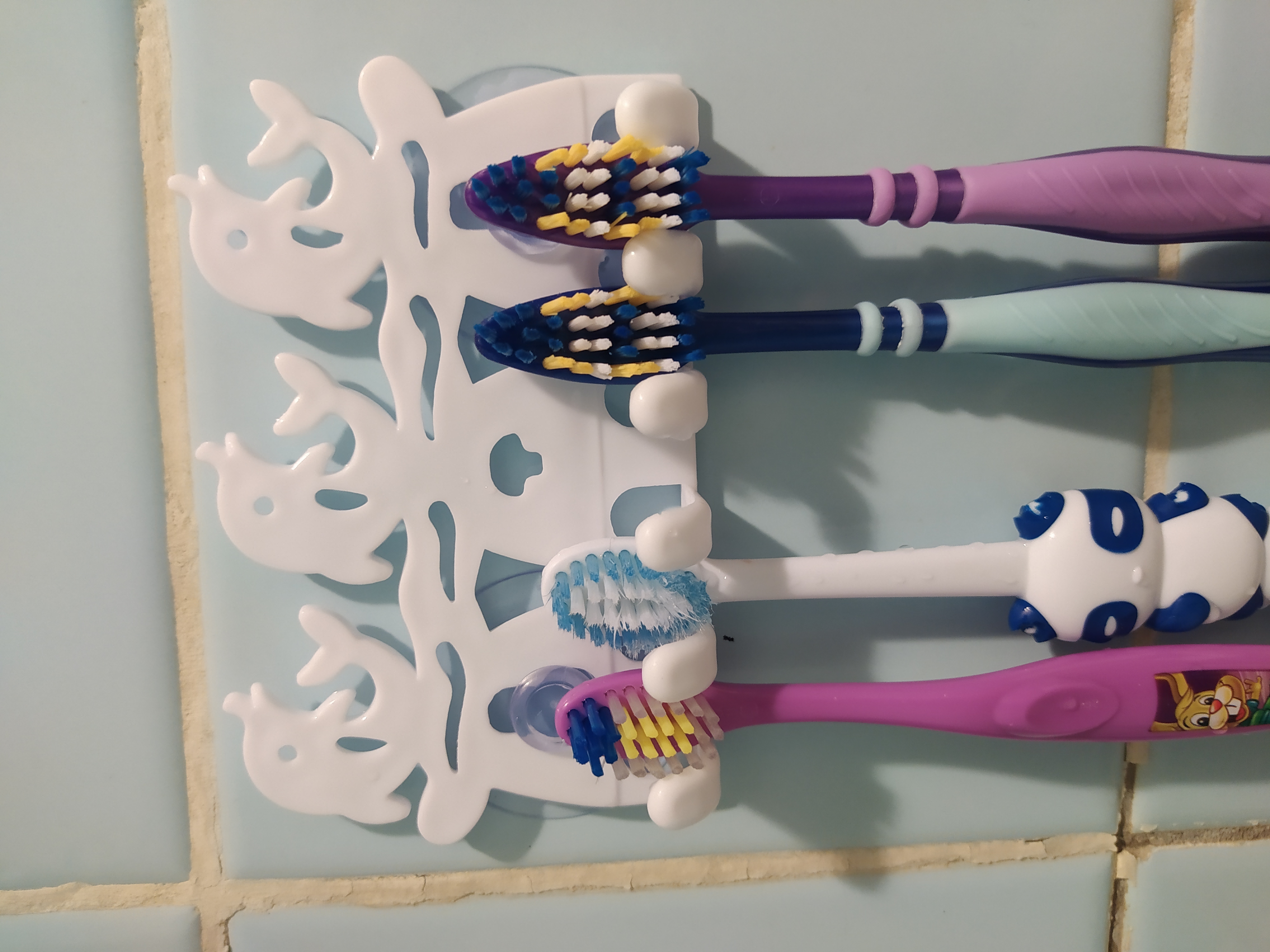 Фотография покупателя товара Держатель для зубных щёток на присосках, дизайн МИКС - Фото 3