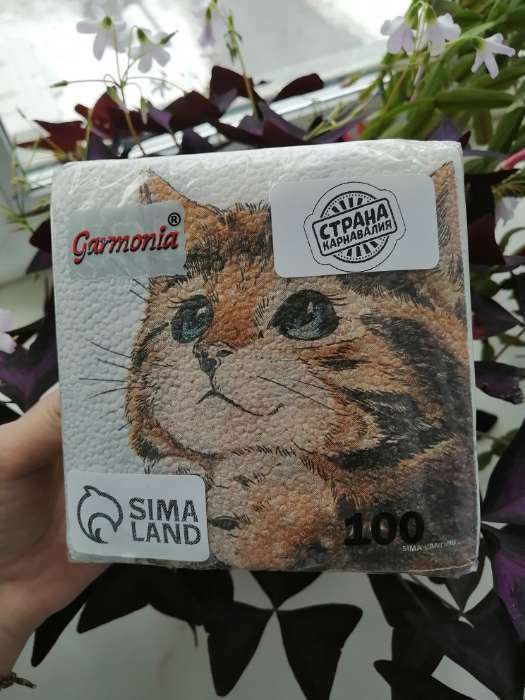 Фотография покупателя товара Салфетки бумажные однослойные «Котёнок», набор 100 штук, 24 × 24 см - Фото 1