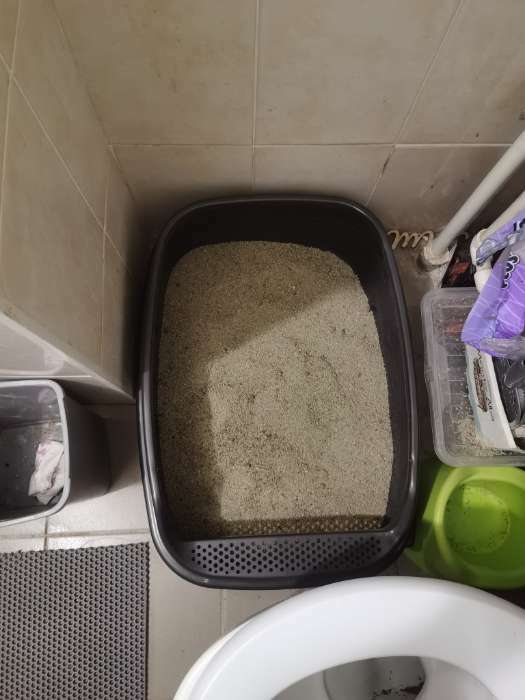 Фотография покупателя товара Туалет Айша XL с бортом 64 х 44 х 21 см серый FIX - Фото 1