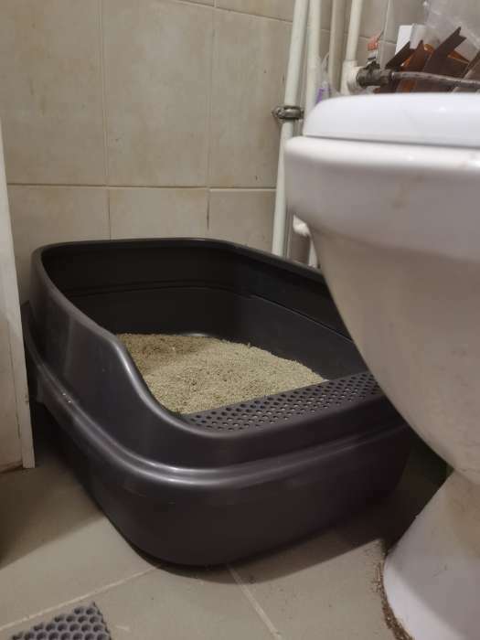 Фотография покупателя товара Туалет Айша XL с бортом 64 х 44 х 21 см серый FIX - Фото 2