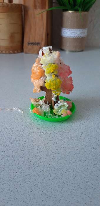 Фотография покупателя товара Набор для выращивания кристалла «Волшебное дерево» цвет разноцветный - Фото 32
