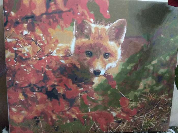 Фотография покупателя товара Картина по номерам «Хитрый лис» 40х50 см - Фото 1