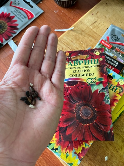 Фотография покупателя товара Семена цветов Подсолнечник "Красное солнышко", О, 0,5 г