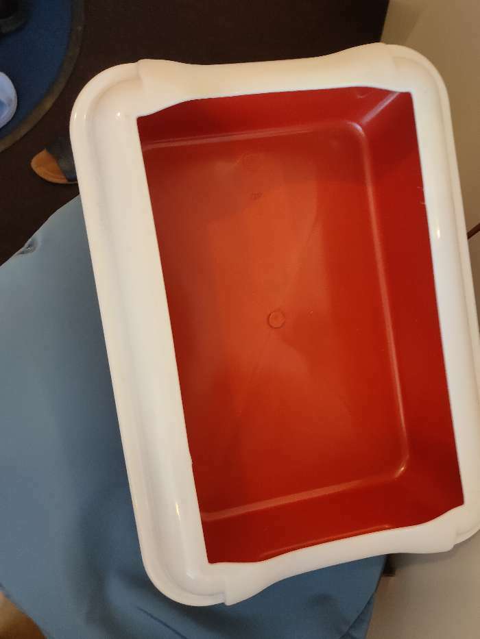 Фотография покупателя товара Туалет с бортом "Бэлла", 37 х 27 х 11,5 см, красный - Фото 14