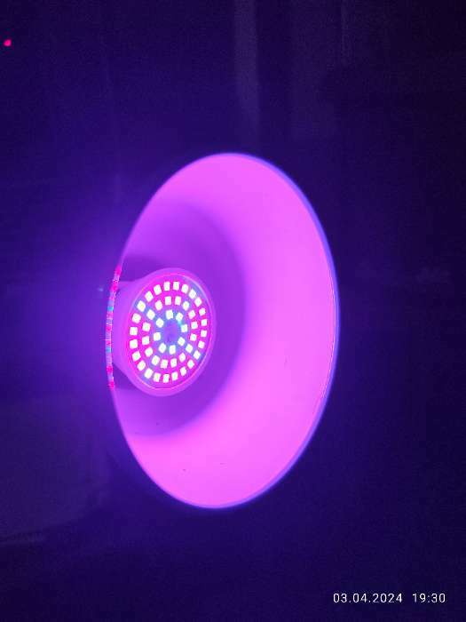 Фотография покупателя товара Фитолампа светодиодная Luazon, E27, 3.5 Вт, IP44, 220 В, биколорная