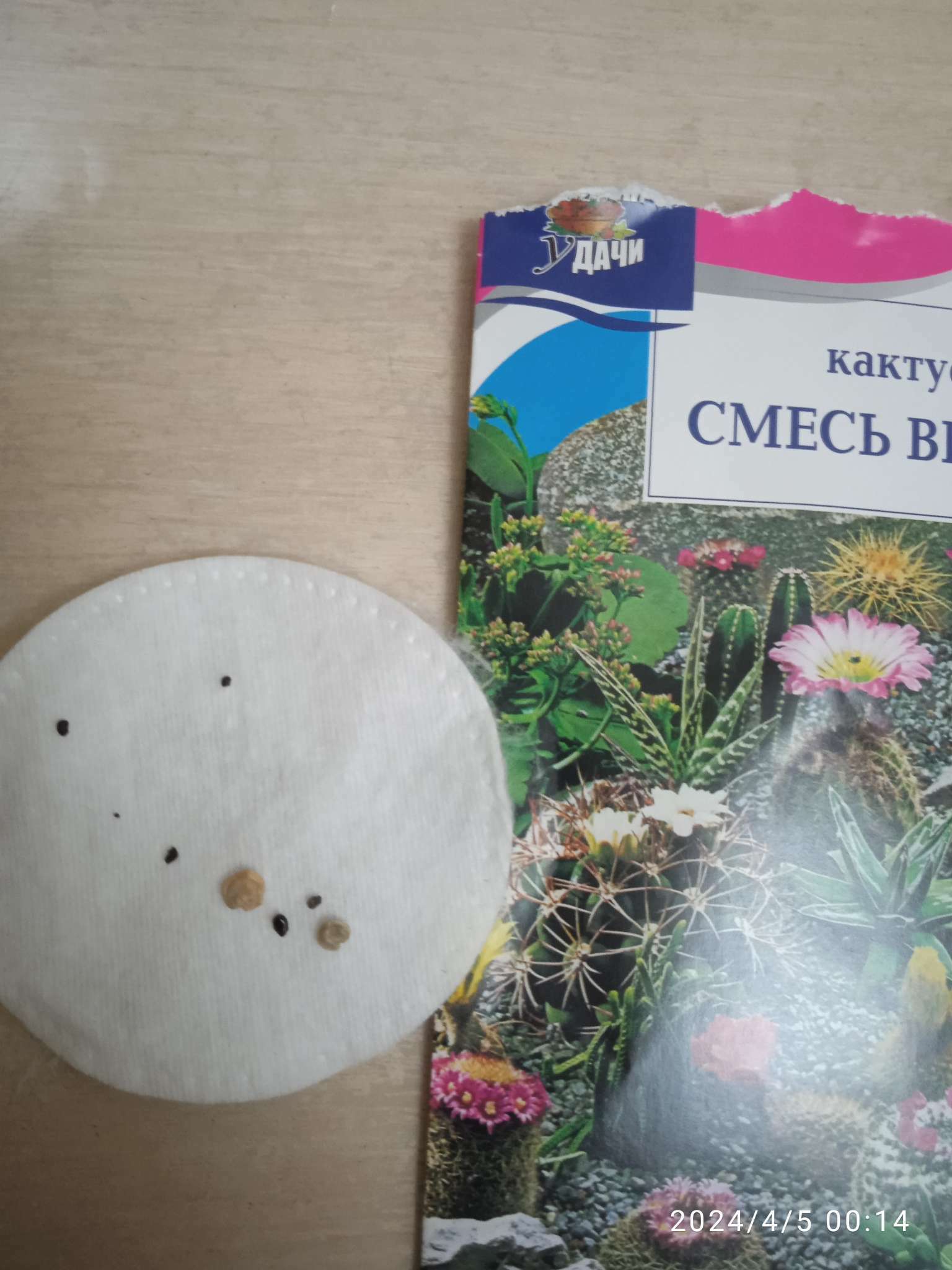 Фотография покупателя товара Семена цветов Кактус , Смесь видов, 0,05г - Фото 3