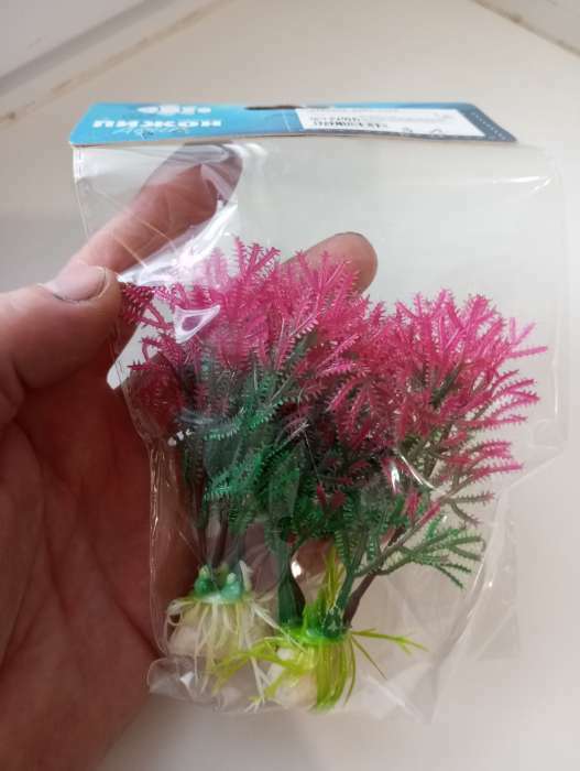 Фотография покупателя товара Набор растений искусственных для аквариума (2 шт), 10 см - Фото 1
