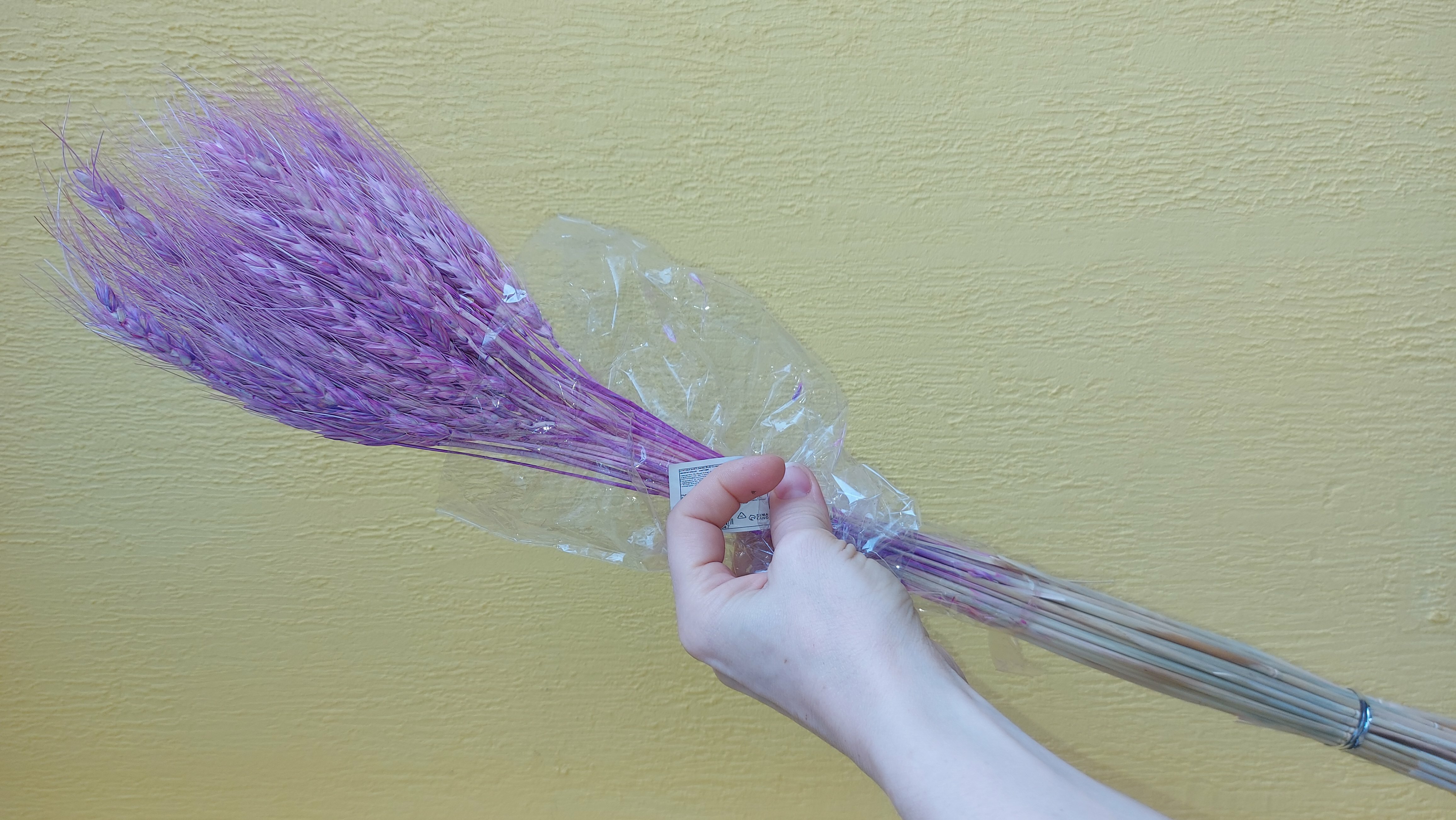 Фотография покупателя товара Сухой колос пшеницы, набор 50 шт., цвет фиолетовый - Фото 13