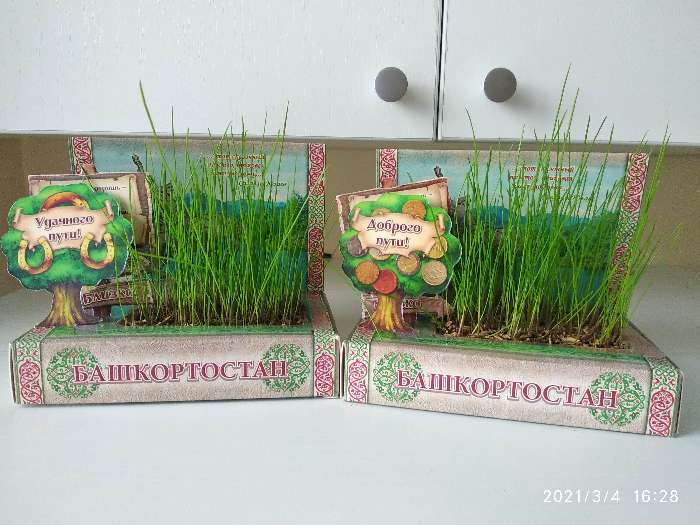 Фотография покупателя товара Растущая травка в открытке «Башкортостан» - Фото 1