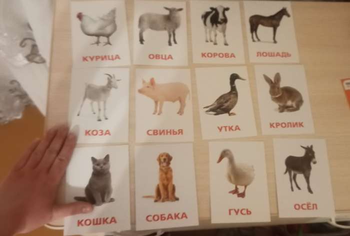 Фотография покупателя товара Обучающие карточки по методике Г. Домана «Домашние животные и птицы», 12 карт, А6