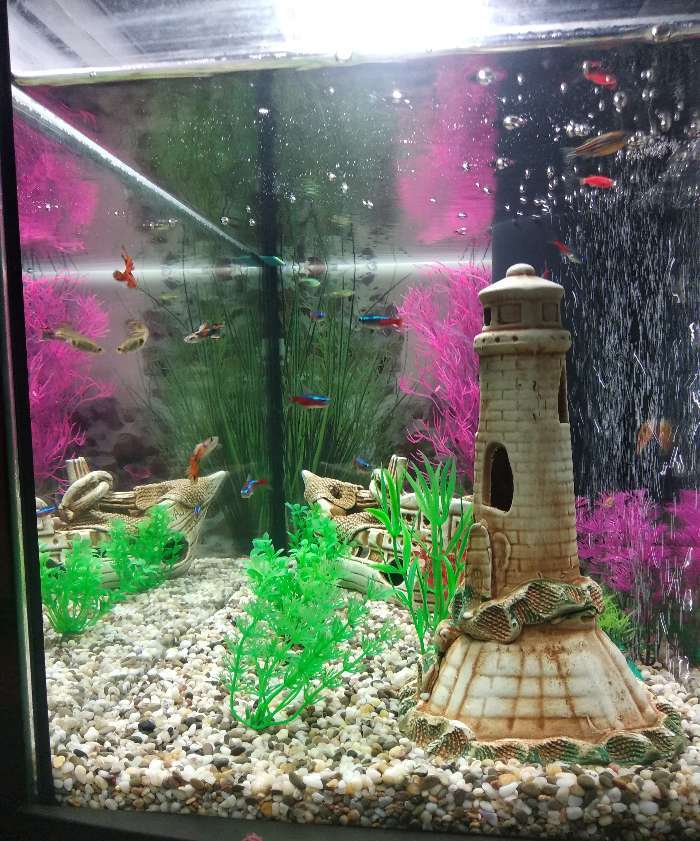 Фотография покупателя товара Декорация для аквариума "Маяк", 20 см, микс