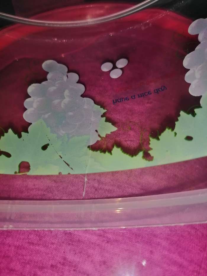 Фотография покупателя товара Набор контейнеров пластиковых «Виноград», 3 шт: d=8,5; 11; 14 см, цвет МИКС - Фото 5