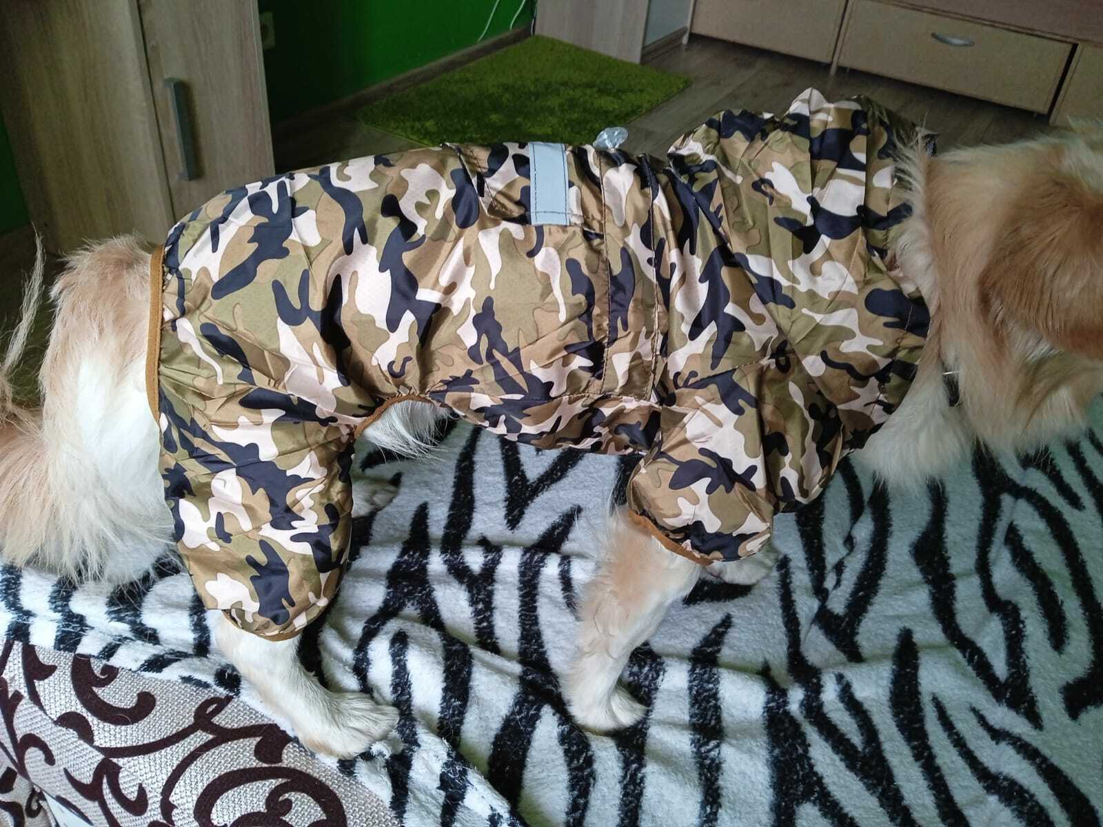 Фотография покупателя товара Комбинезон для собак, демисезонный, с подкладом, размер XS, ДС 22, Ог 34 см, камуфляжный - Фото 2