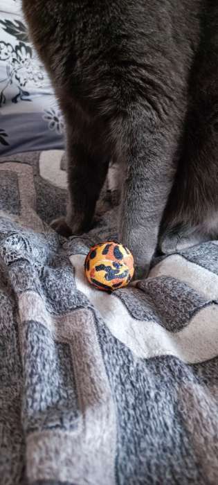 Фотография покупателя товара Мяч текстильный "Леопард", 4 см, микс цветов