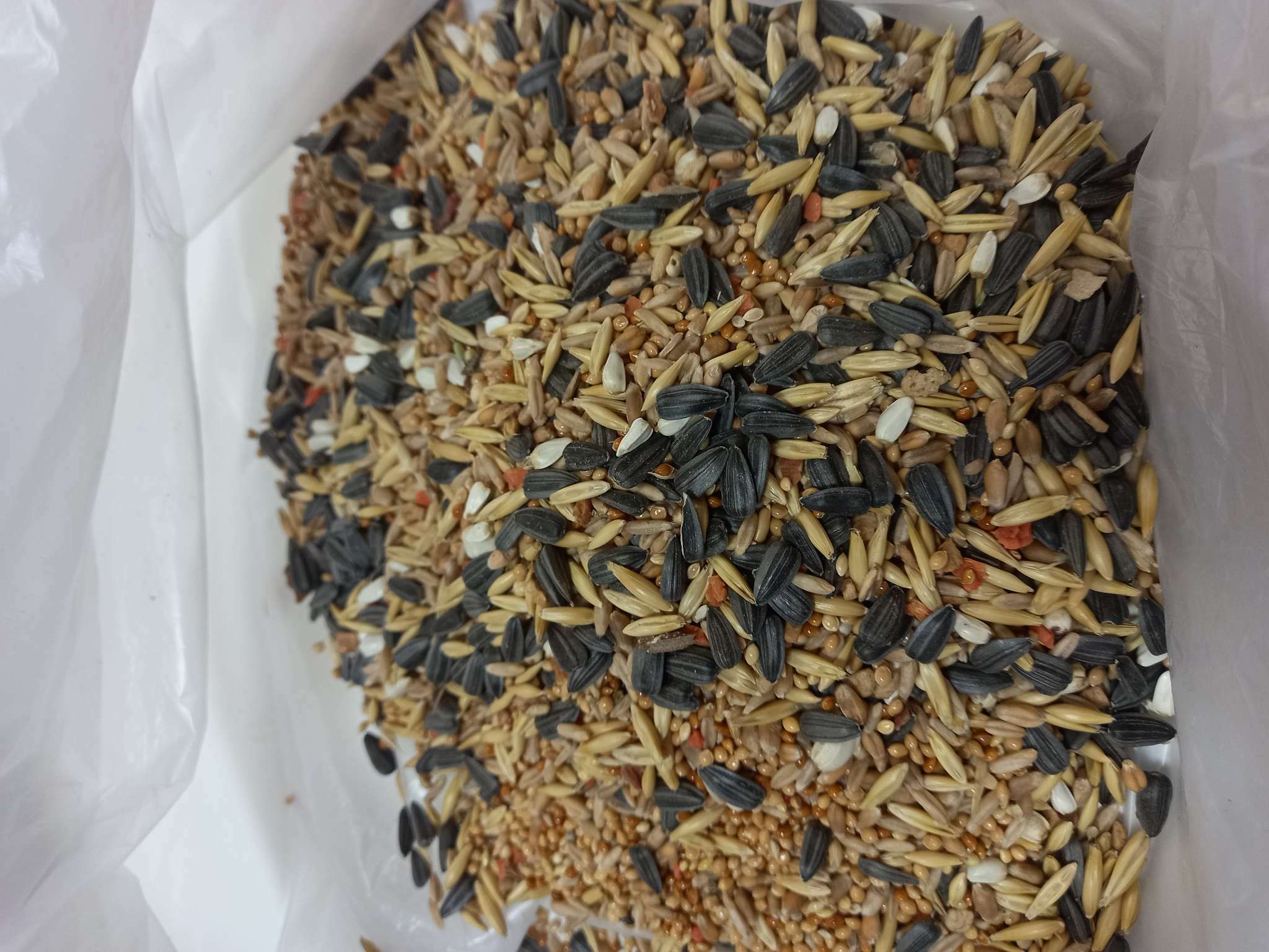 Фотография покупателя товара Корм «Пижон» для средних попугаев, с овощами и фруктами, 400 г - Фото 1