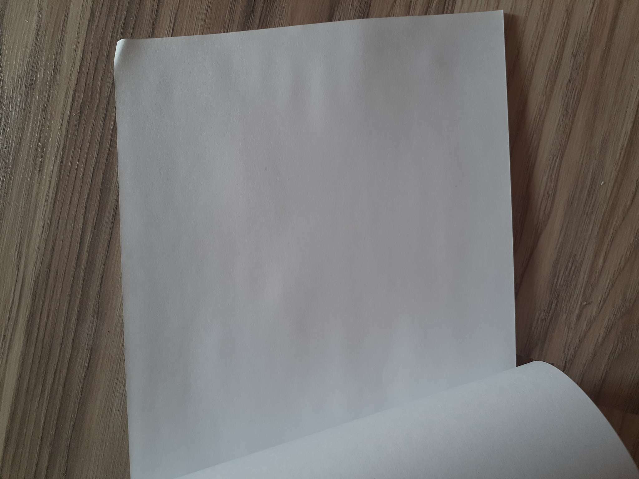 Фотография покупателя товара Альбом для рисования А4, 12 листов на скрепке "Поиграем?", обложка мелованная бумага 120 г/м², внутренний блок офсет 100 г/м² - Фото 2