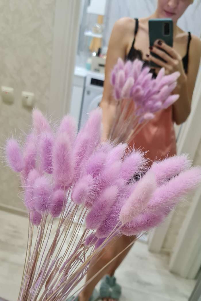 Фотография покупателя товара Сухие цветы лагуруса, набор: max 60 шт., цвет фиолетовый