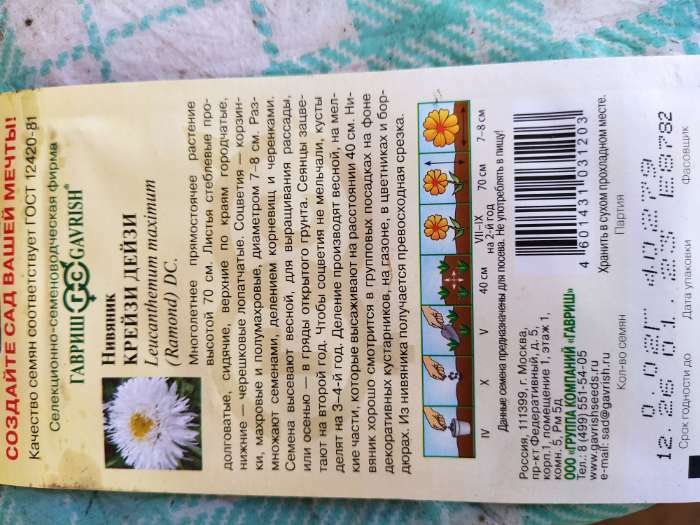 Фотография покупателя товара Семена цветов Нивяник "Крейзи Дейзи", Мн., 0,02 г - Фото 1