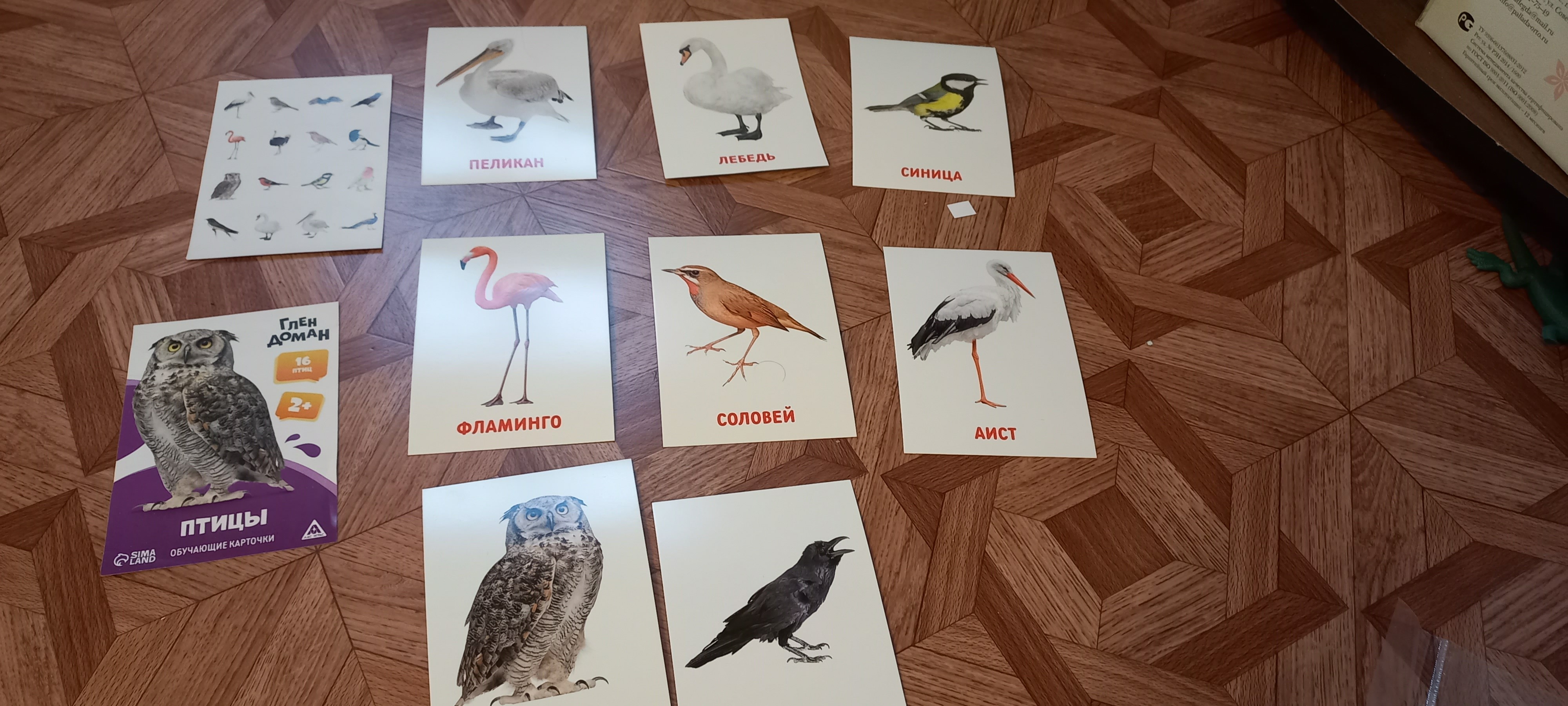 Фотография покупателя товара Обучающие карточки по методике Глена Домана «Птицы», 8 карт, 2+