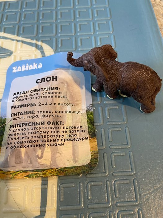 Фотография покупателя товара Фигурка «Слон», с обучающей карточкой - Фото 7