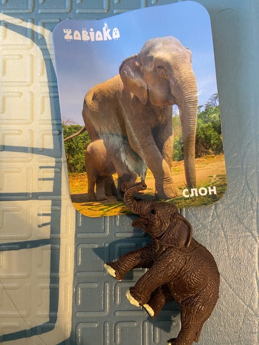 Фотография покупателя товара Фигурка «Слон», с обучающей карточкой - Фото 8