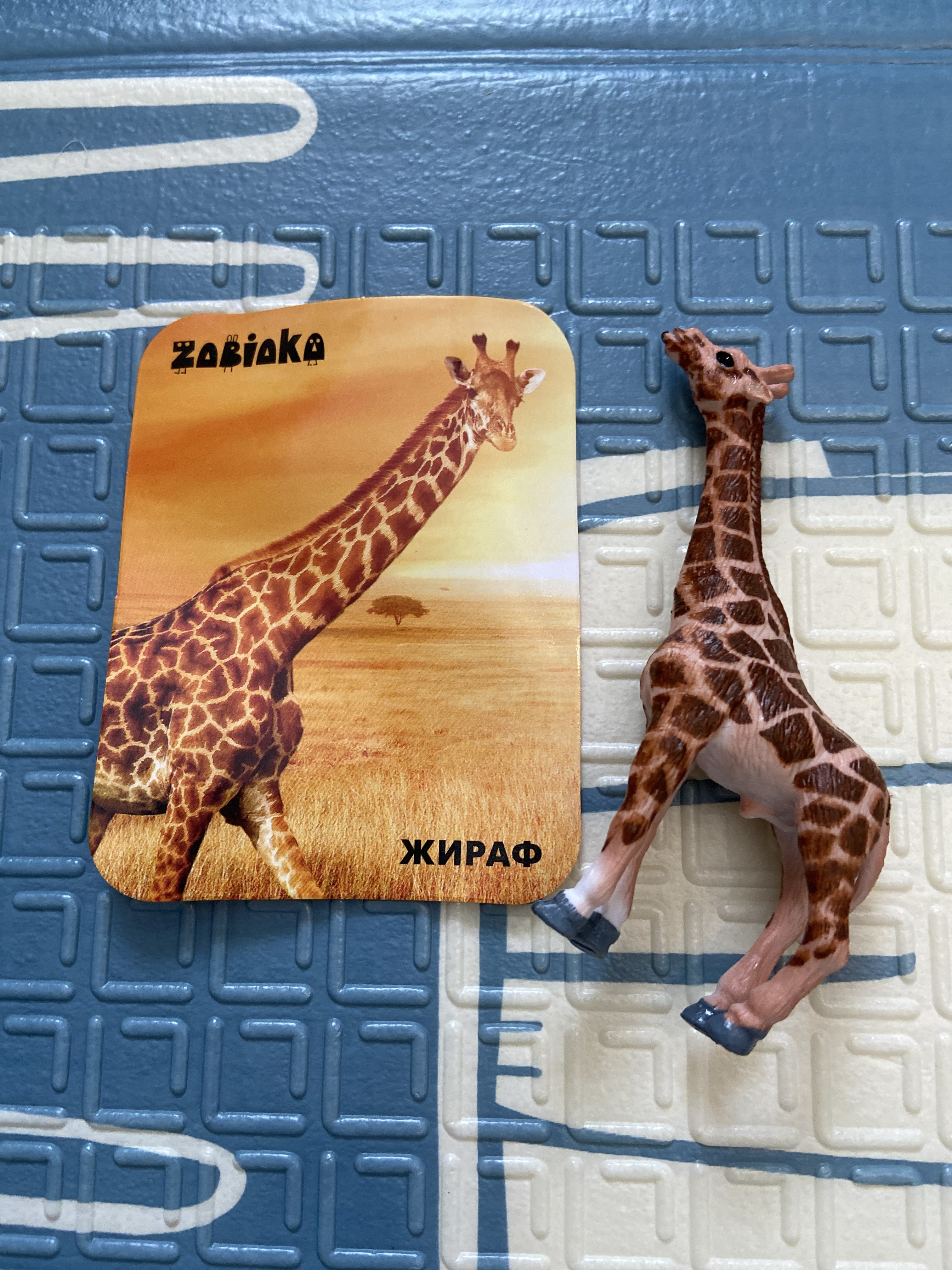 Фотография покупателя товара Фигурка «Жираф», с обучающей карточкой - Фото 7