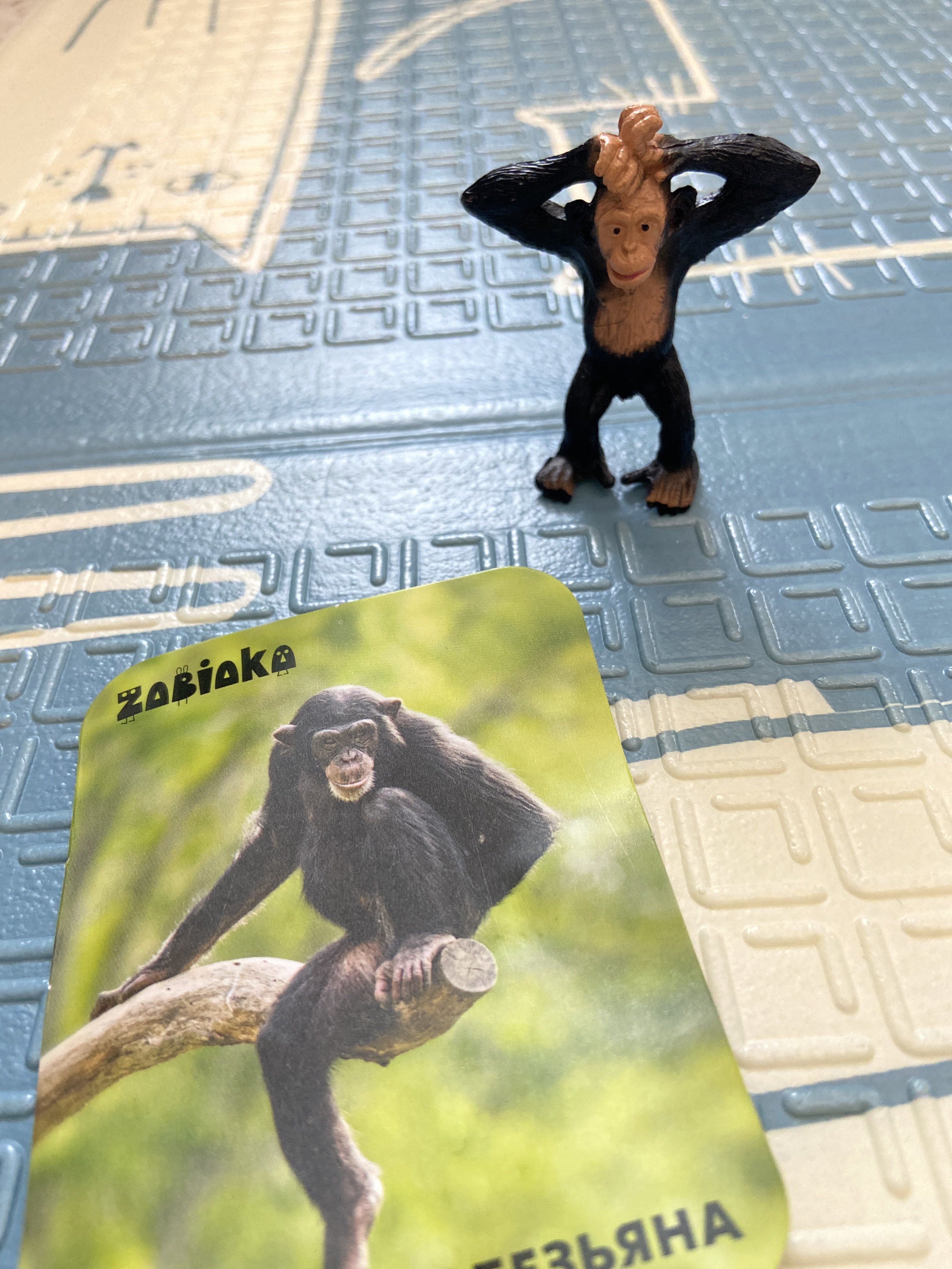 Фотография покупателя товара Фигурка «Жираф», с обучающей карточкой - Фото 5