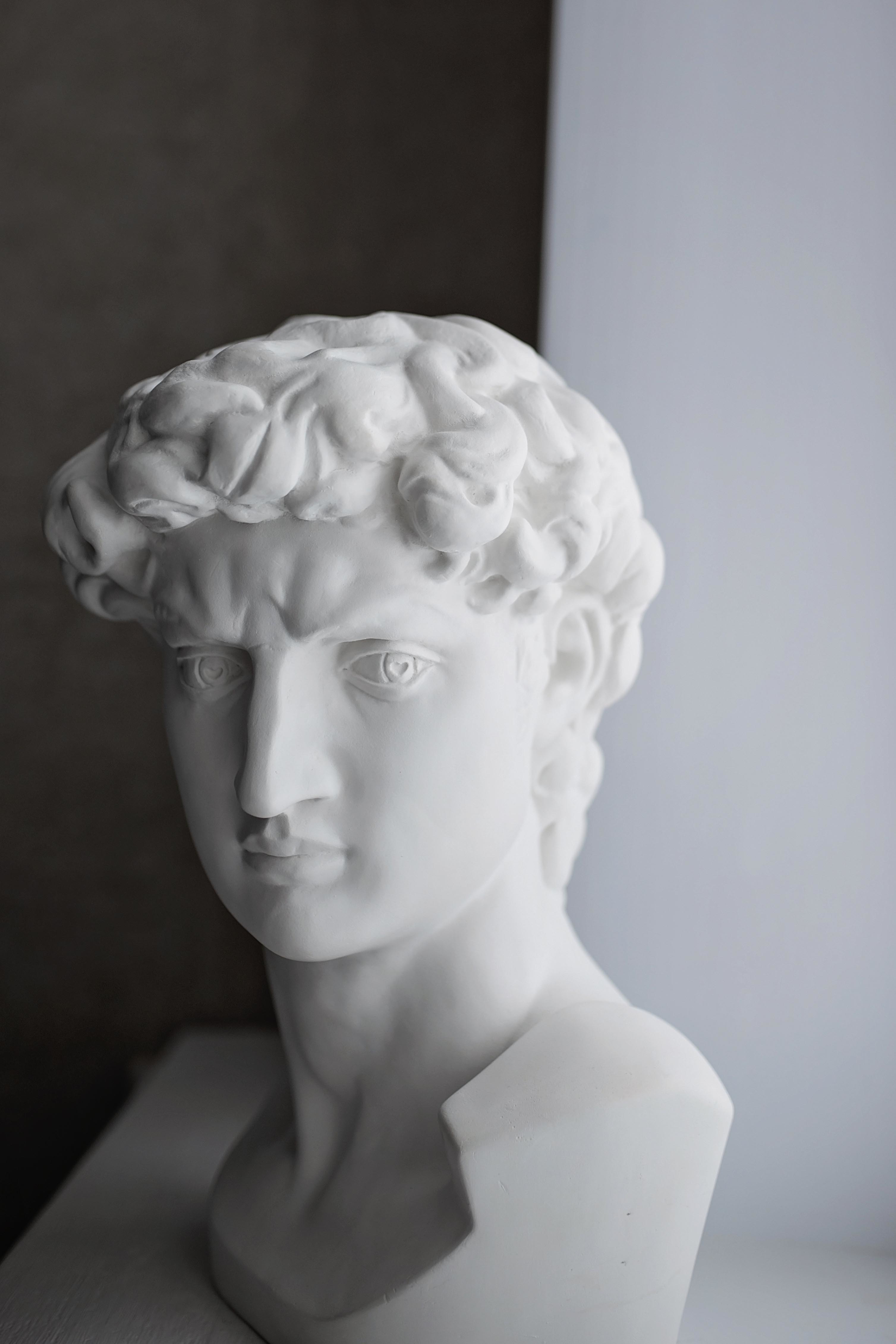 Фотография покупателя товара Гипсовая фигура Давида Микеланджело, 30 х 28 х 46 см - Фото 1