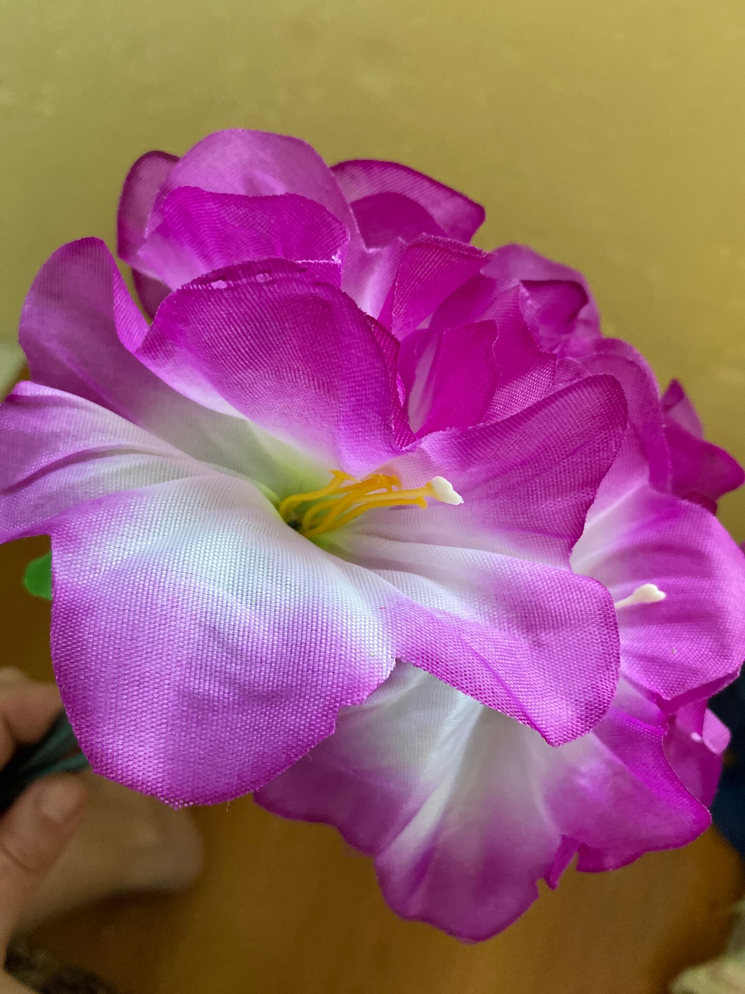 Фотография покупателя товара Цветы искусственные "Гиппеаструм" d=12 см, h=23 см,  бело-сиреневый