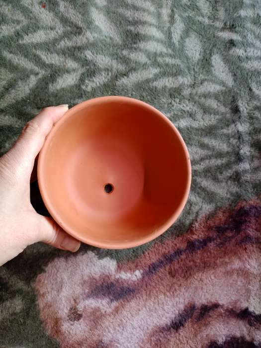 Фотография покупателя товара Горшок цветочный "Астра" 0,6 л - Фото 2