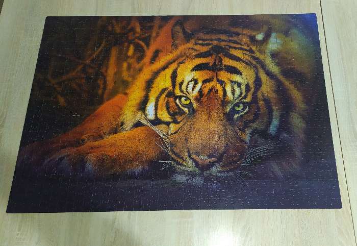 Фотография покупателя товара Пазл «Сибирский тигр», 1000 элементов - Фото 1