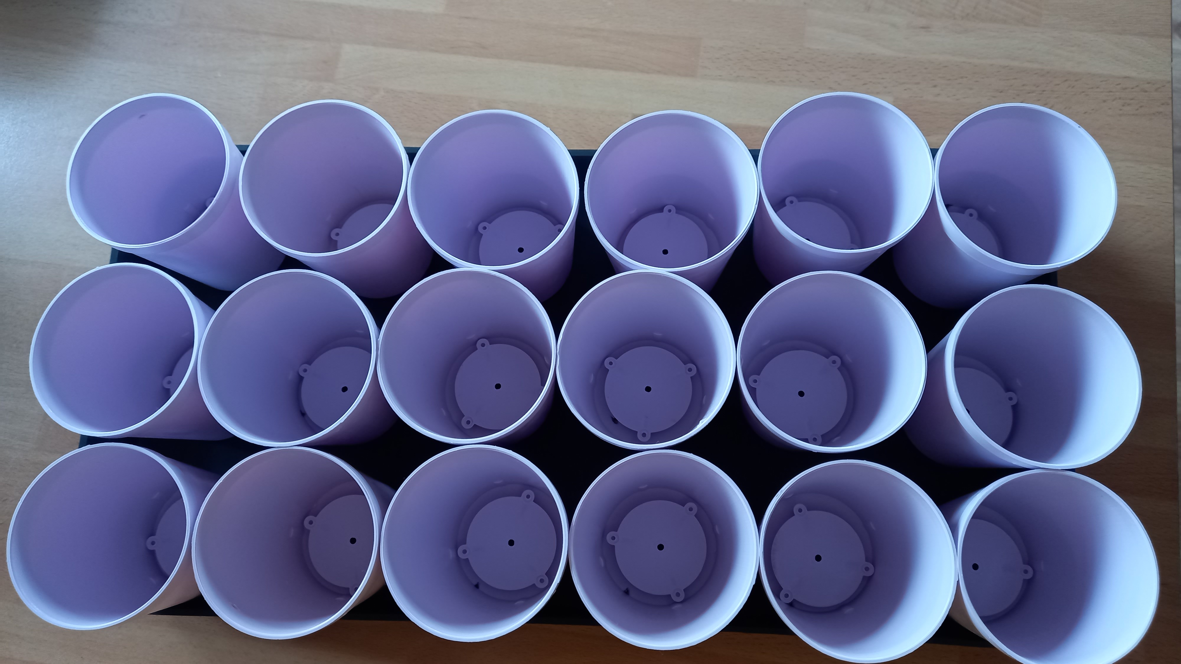 Фотография покупателя товара Набор для рассады: стаканы по 250 мл (18 шт.), поддон 40 × 20 см, цвет МИКС, Greengo - Фото 4