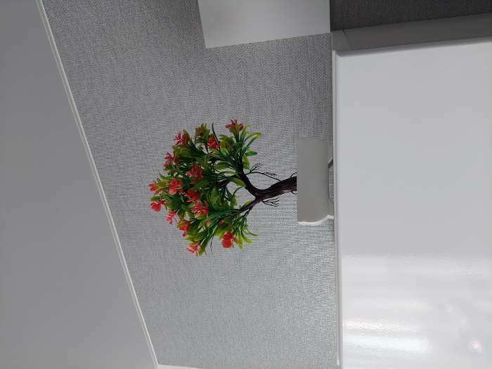 Фотография покупателя товара Бонсай искусственный в горшке «Волнистые цветы», 10×24 см, МИКС - Фото 1