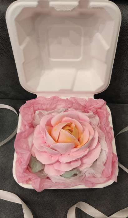 Фотография покупателя товара Бумага упаковочная тишью, светло-розовый, 50 х 66 см - Фото 1