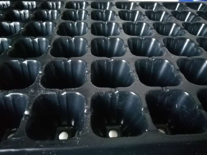 Фотография покупателя товара Кассета для рассады, на 72 ячейки, по 50 мл, из пластика, чёрная, 54 × 28 × 4 см, Greengo - Фото 8