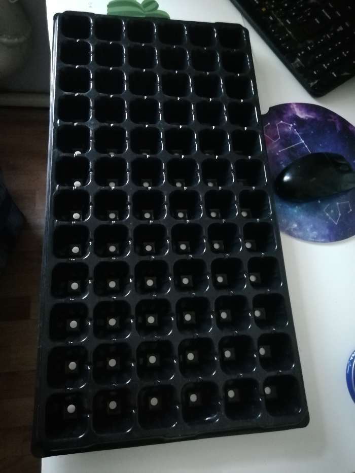 Фотография покупателя товара Кассета для рассады, на 72 ячейки, по 50 мл, из пластика, чёрная, 54 × 28 × 4 см, Greengo - Фото 9