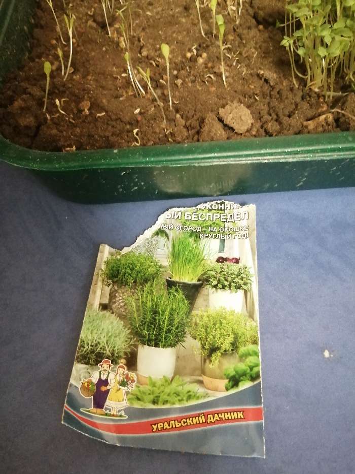 Фотография покупателя товара Набор семян зелени, для подоконника "Ароматный беспредел", 2 г