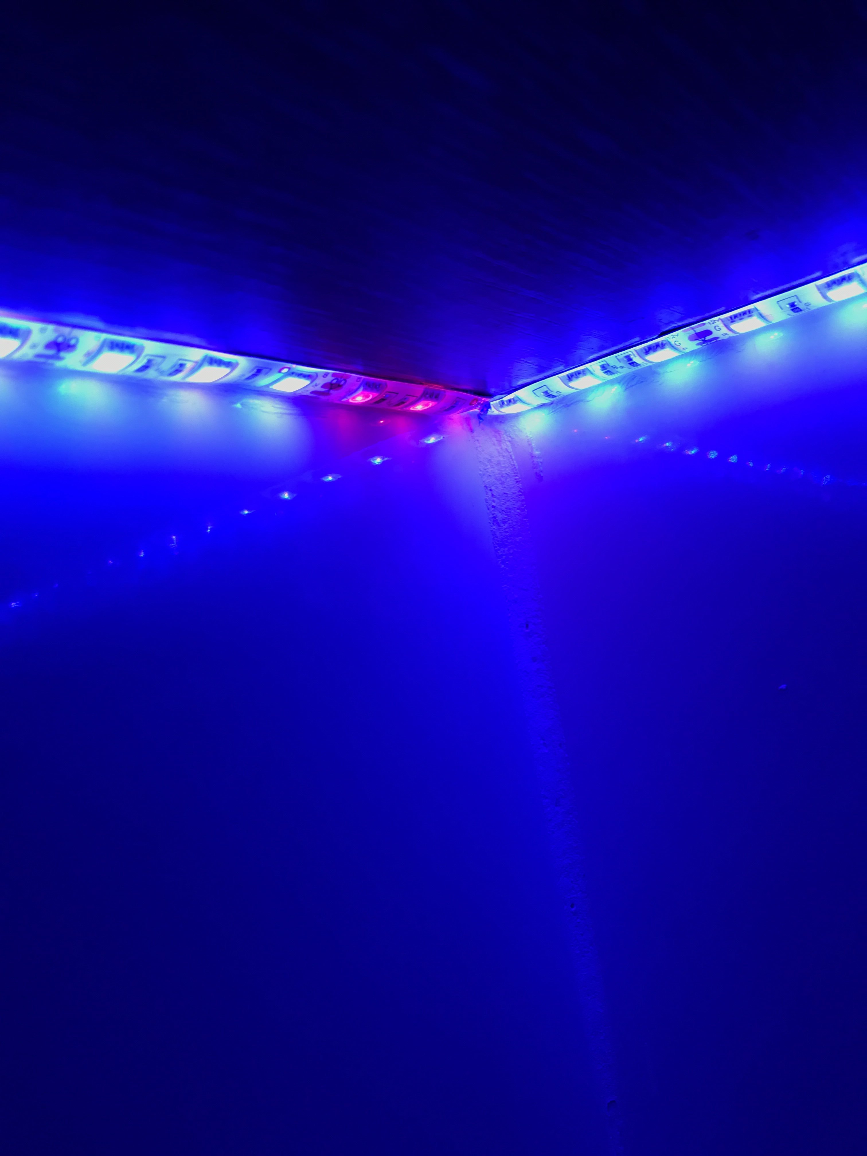 Фотография покупателя товара Cветодиодная лента Ecola PRO 5 м, IP65, SMD5050, 60 LED/м, 14.4 Вт/м, 12 В, RGB - Фото 3