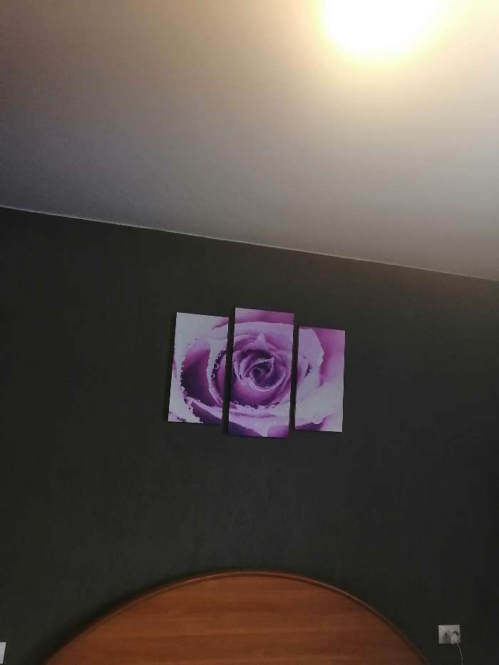 Фотография покупателя товара Картина модульная на подрамнике "Роза" 2шт-25,5*50,5 см, 30,5*60 см, 60х100 см - Фото 1