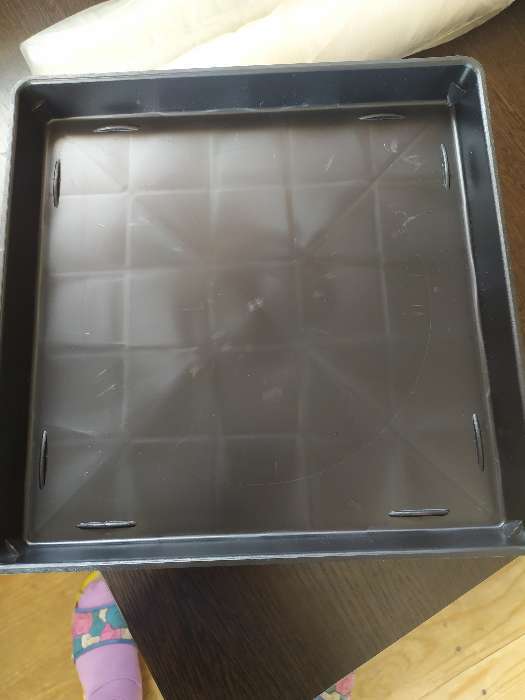 Фотография покупателя товара Поддон для рассады, 26.6 × 26.5 × 3 см, пластик, чёрный