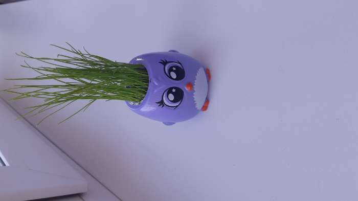 Фотография покупателя товара Набор для опытов «Котики. Выращиваем травку», фиолетовый горшочек - Фото 2