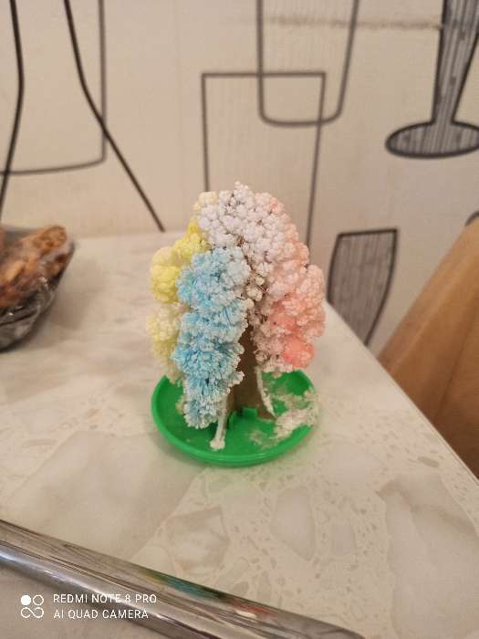 Фотография покупателя товара Набор для выращивания кристалла «Волшебное дерево» цвет разноцветный - Фото 65